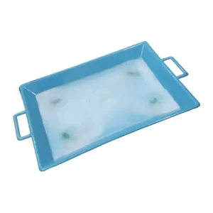 Plastic Tray with Wax – Biology Dissection & Frog Examination Tray | HDPE Lab Tray